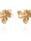 Begonia - Shlomit Ofir – Image 2